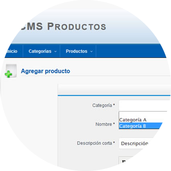 Ejemplo: CMS 3