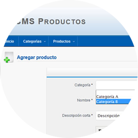 Ejemplo: CMS 3