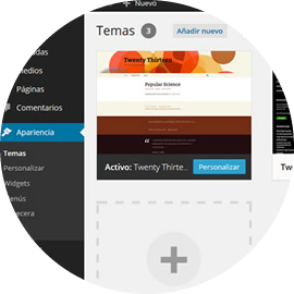 Ejemplo: Wordpress 1