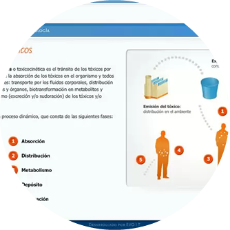 Cursos online